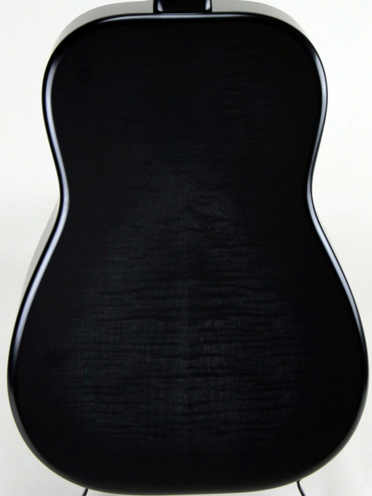 Josh Swift Signature resonator guitar back, Black Ice