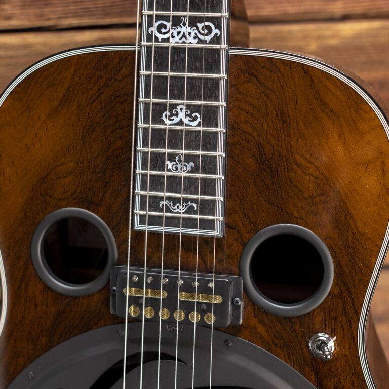 Beard resonator guitar closeup
