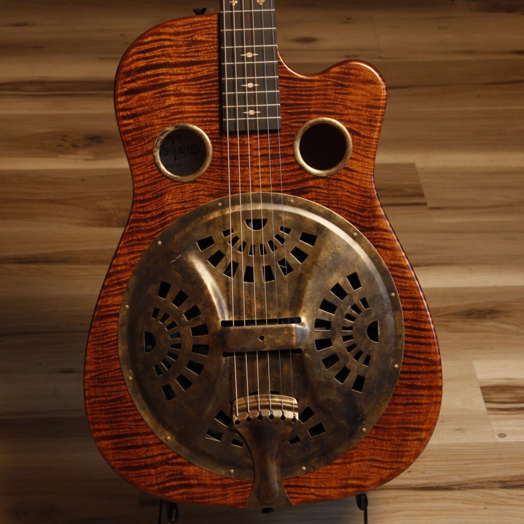 Beard Trailhead resonator guitar closeup